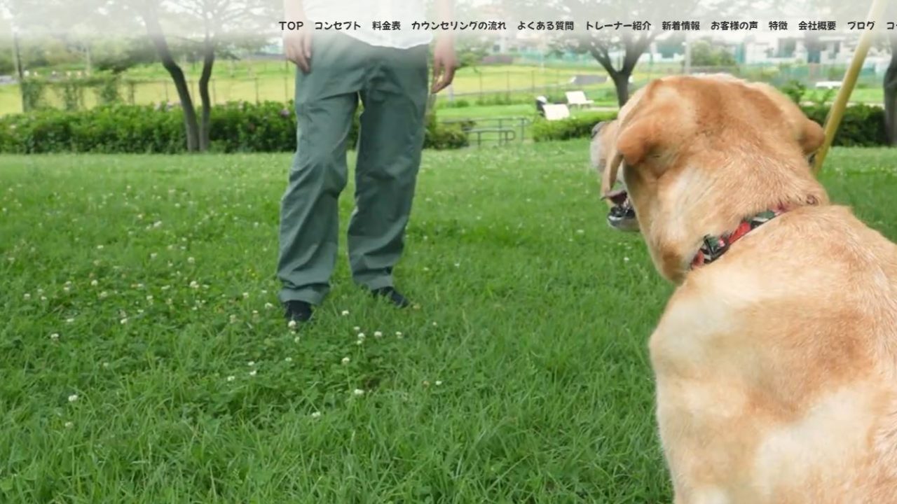 犬のしつけワンデイ