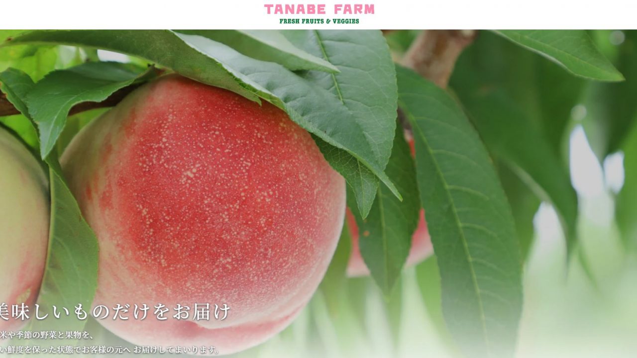 TANABE FARM